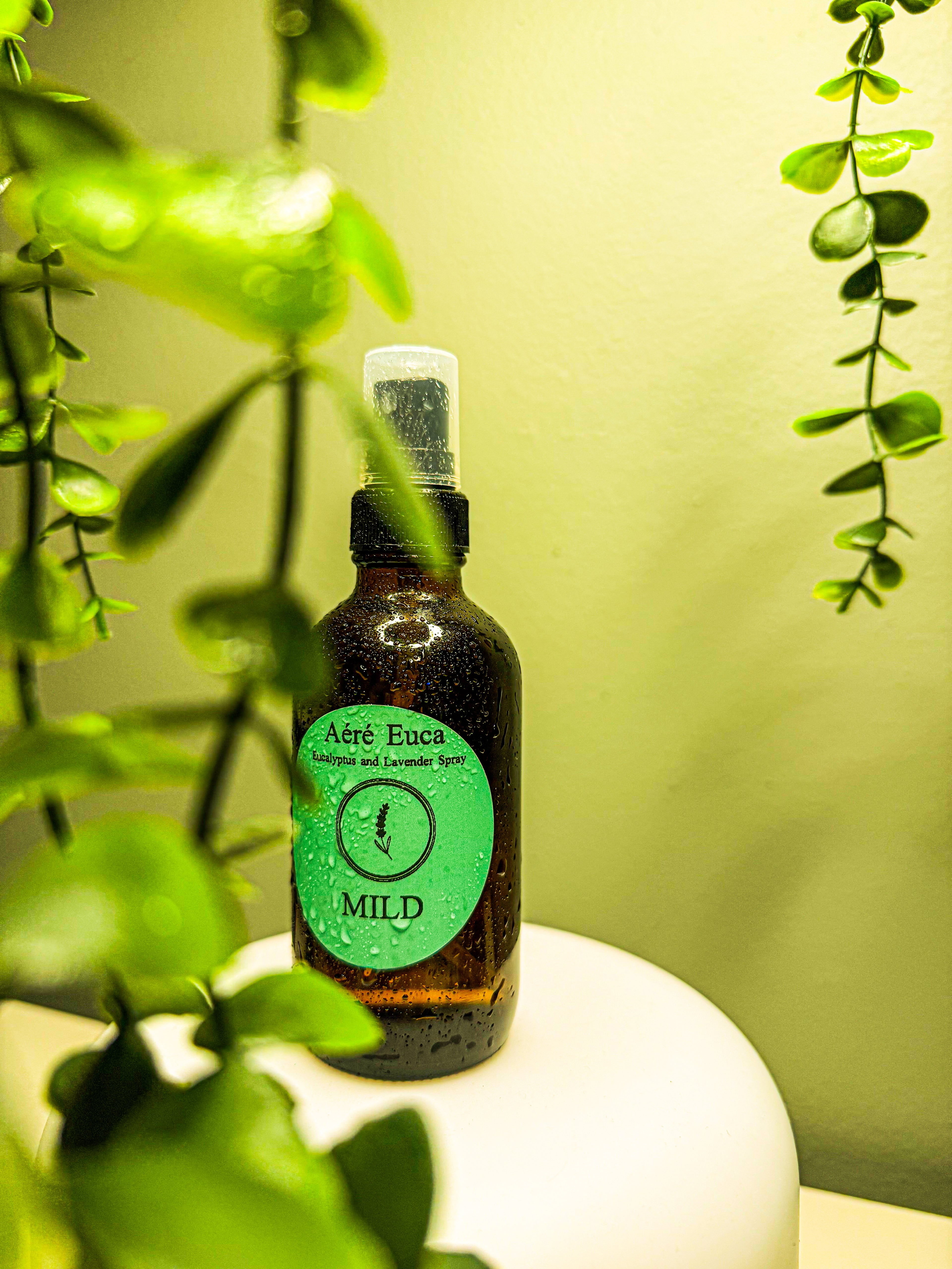 Euca Sprout (Mild)